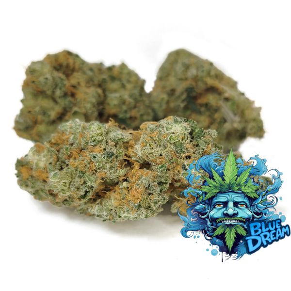 Blue Dream Cannabis Bud available at BudShop