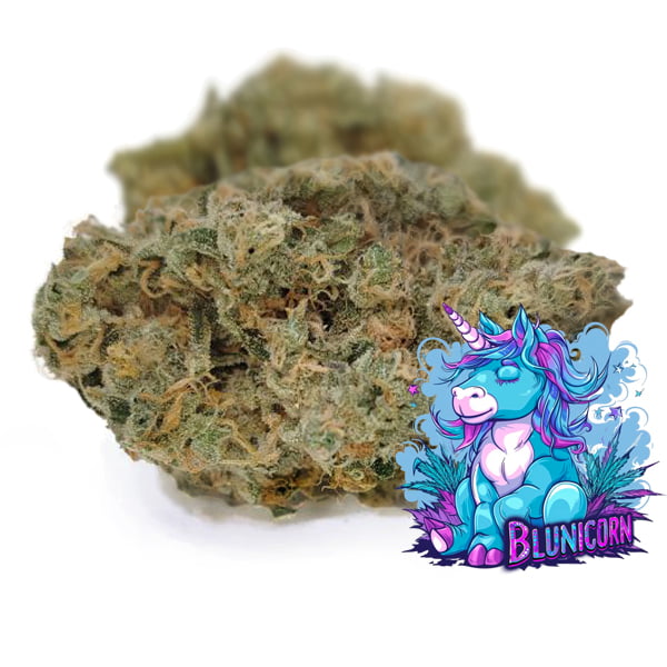 Blunicorn Cannabis Bud available at BudShop