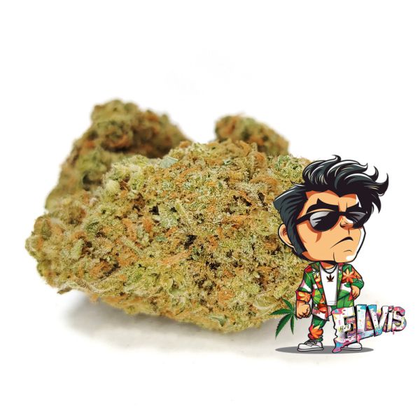 Elvis Cannabis Bud available at BudShop