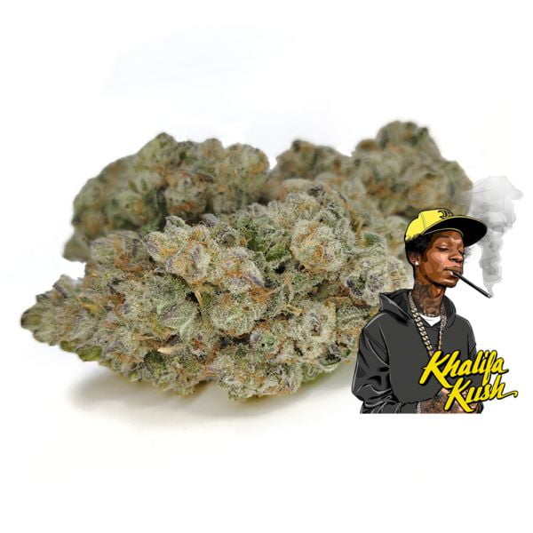 Khalifa Kush Cannabis Bud available at BudShop