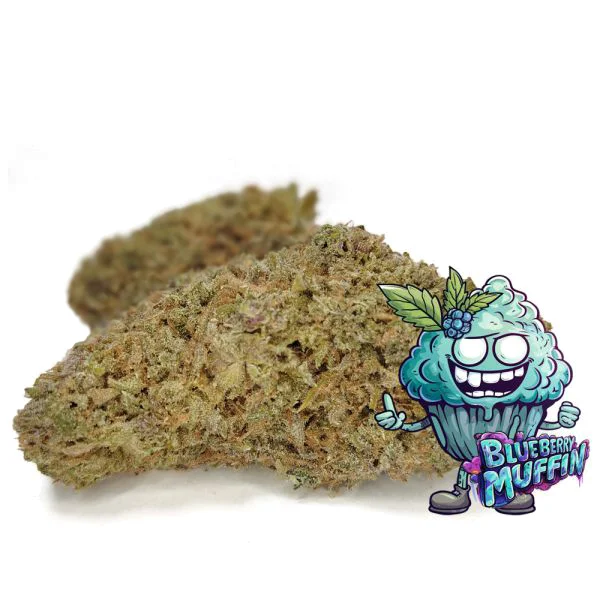 Blueberry Muffin 1 only at BudShop