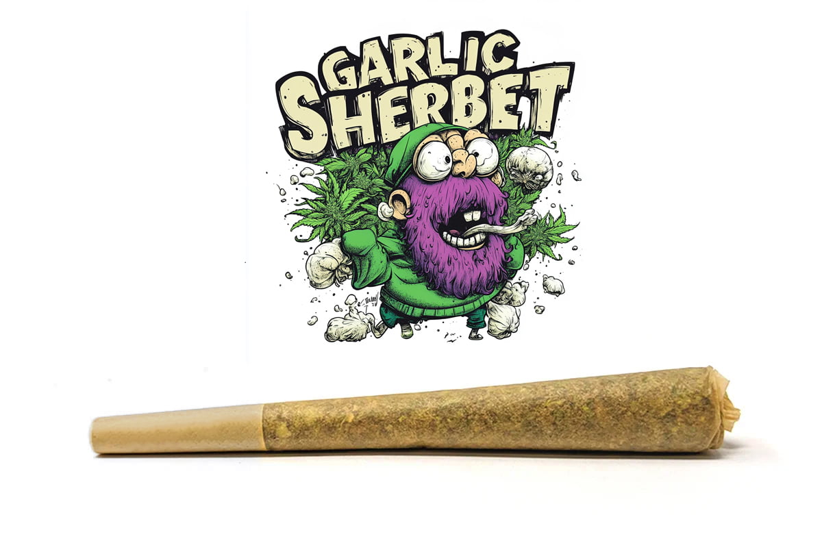 garlic sherbet preroll only at BudShop