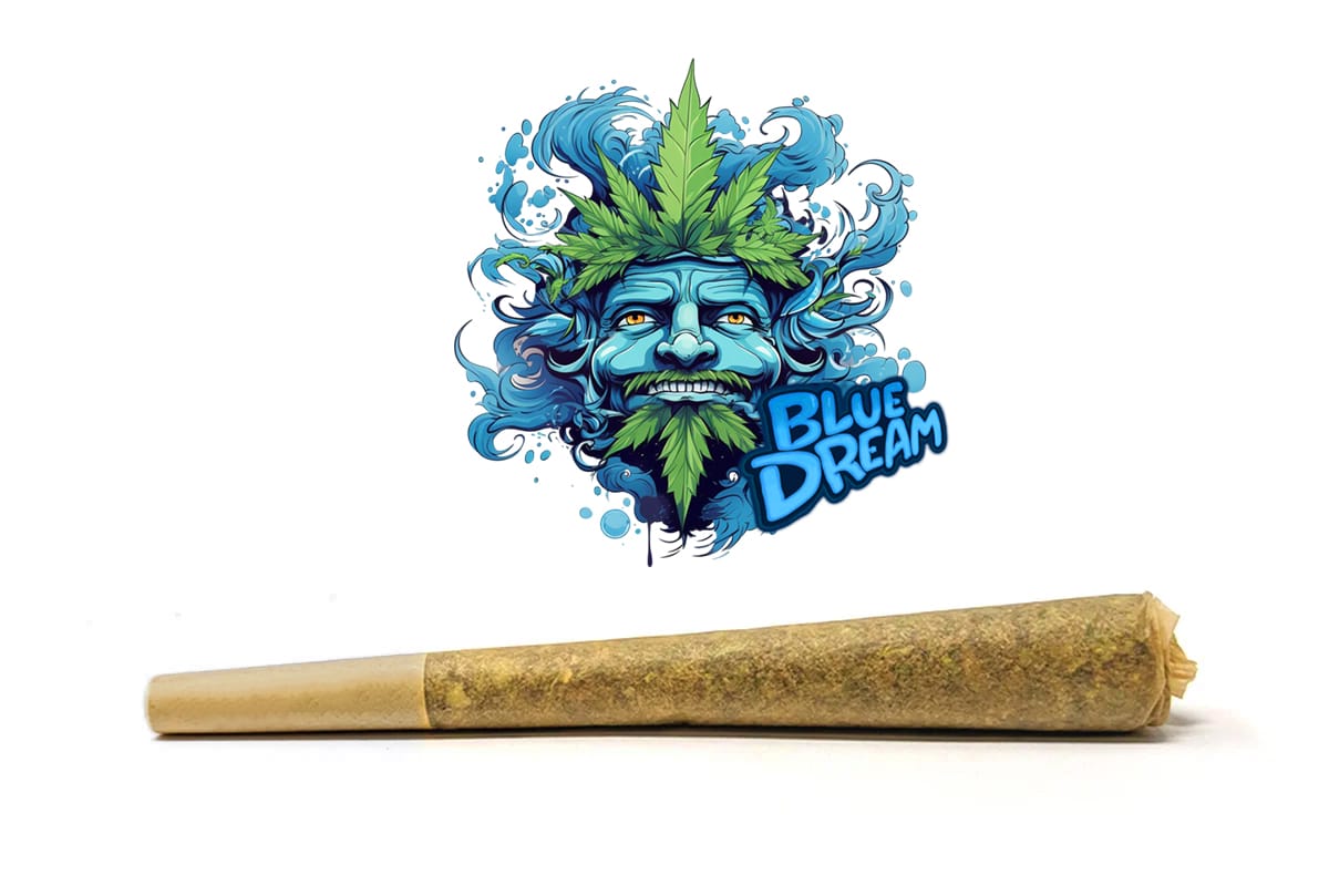 blue dream preroll only at BudShop