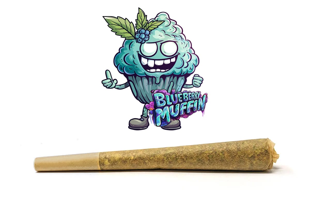 blueberry muffin preroll only at BudShop