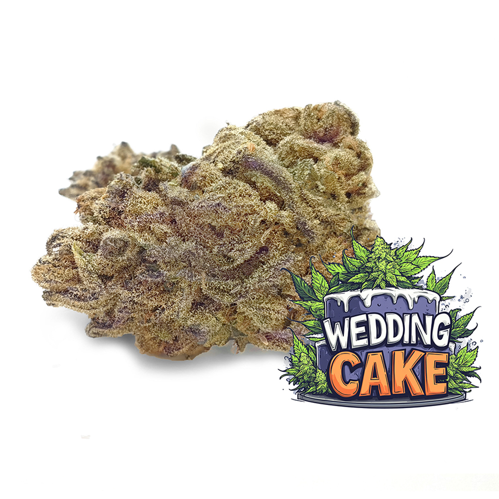 Super Cheese Cannabis Bud available at BudShop